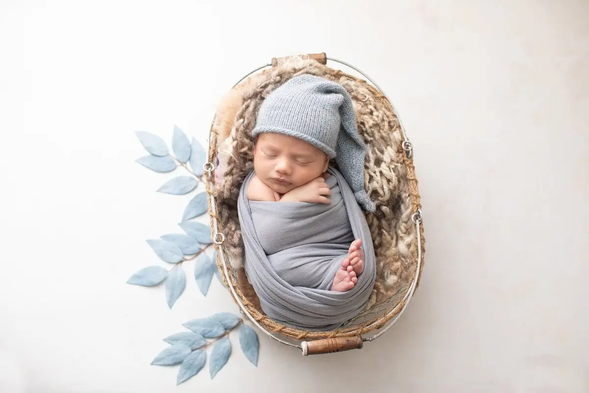 A newborn baby wrapped in a gray blanket and hat sleeps in a basket lined with soft fabric, next to decorative blue leaves on a light background. Lovely Baby Photography by Stacey Marsh