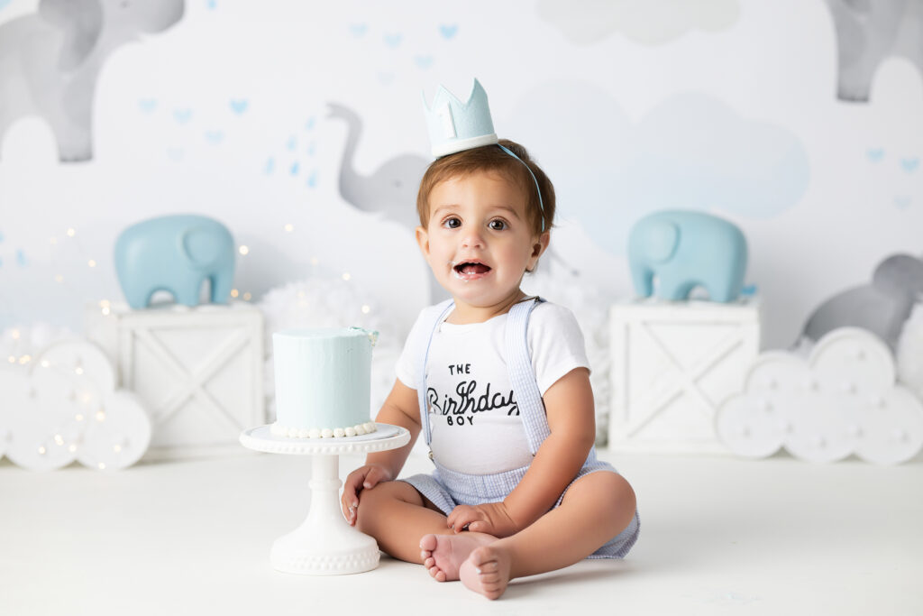A smiling toddler wearing a blue crown sits on the floor in front of a small blue cake. The background is decorated with blue elephant toys, white cloud props, and an animal-themed mural. The child's shirt reads "The Birthday Boy. Lovely Baby Photography by Stacey Marsh
